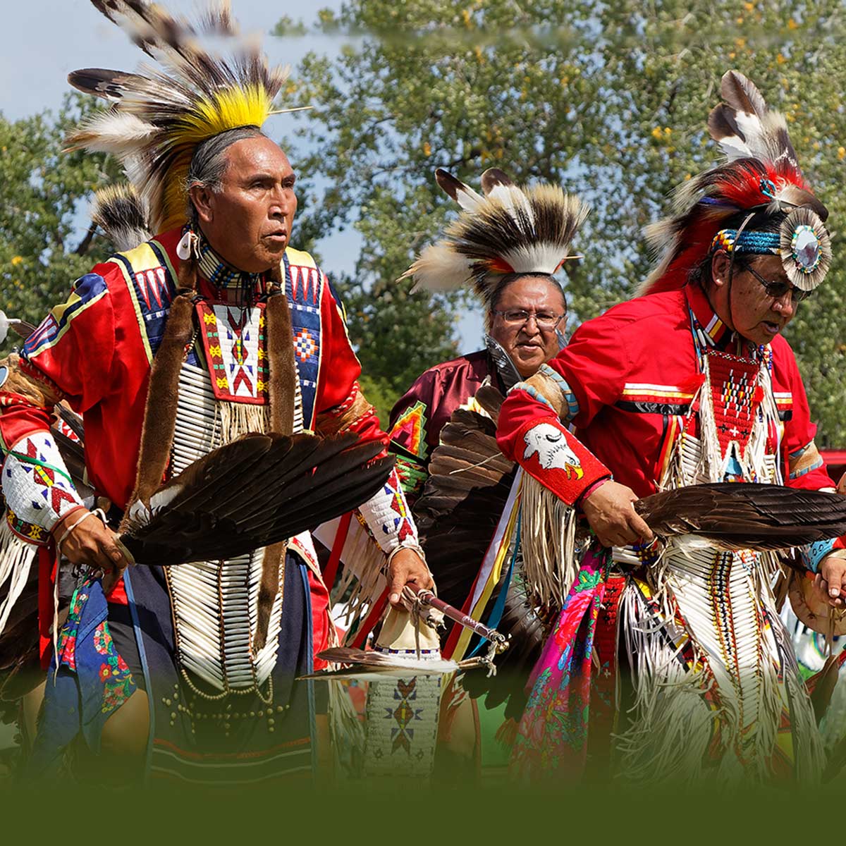 Native American Indians - Native Path Collagen Where To Buy