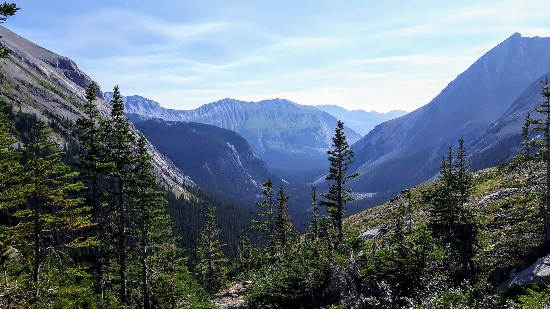 Natural Resources Canada invests in multiple biomass projects - Natural Bliss Gummies Reviews And Complaints