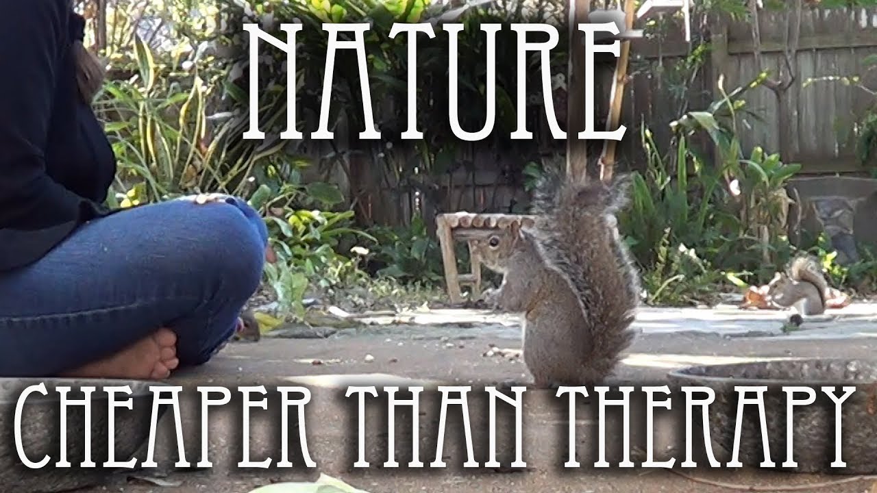 Cheaper Alternative To Balance Of Nature Reviews
