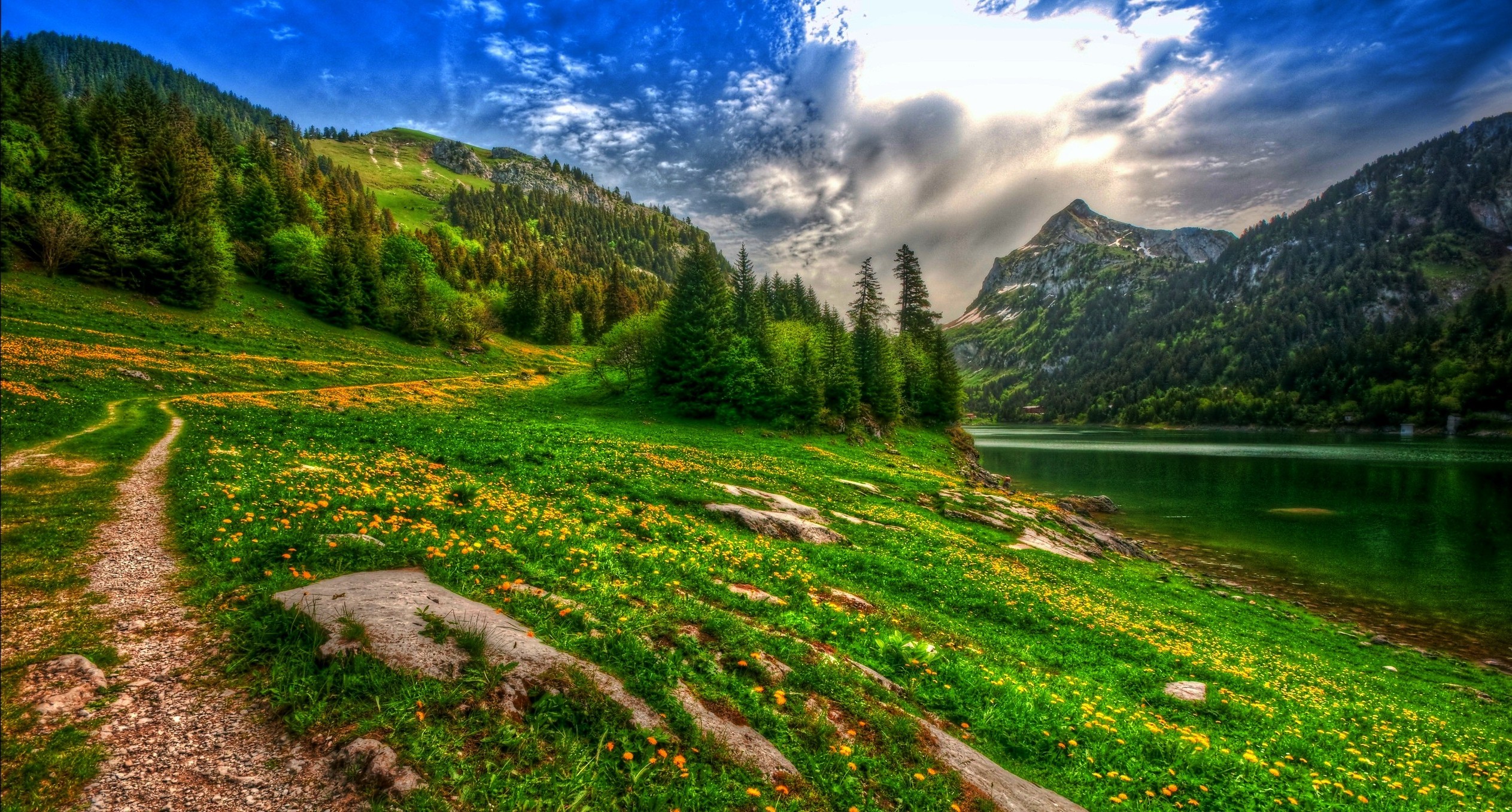 Nature Made Calm Mind And Body