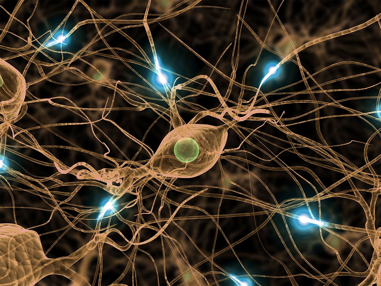 Nerve Recovery Max Reviews And Complaints