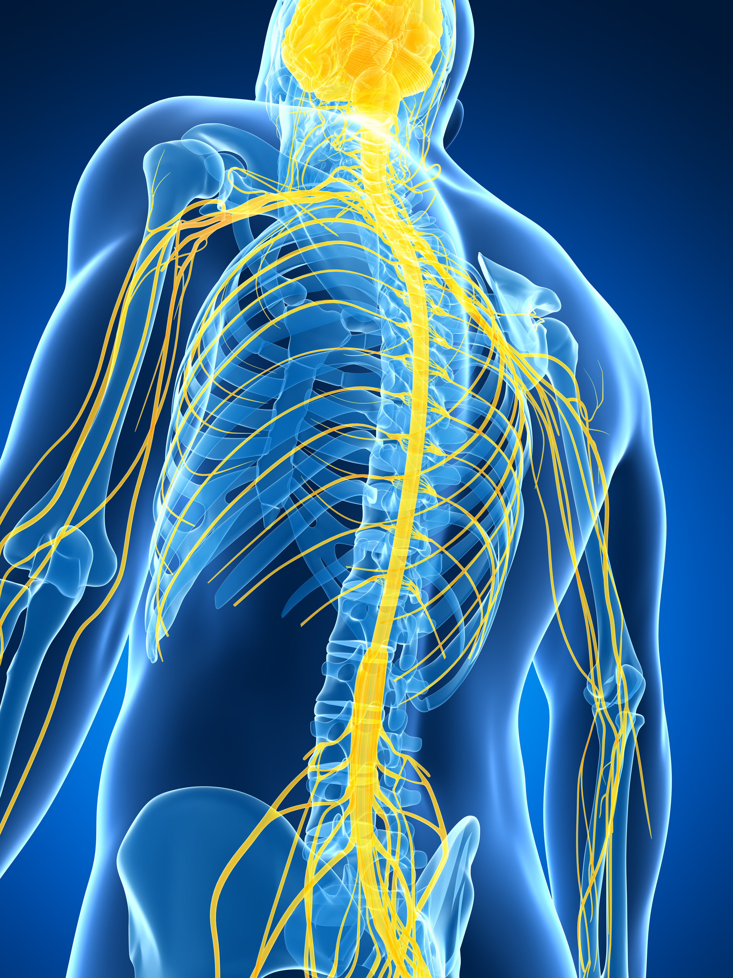 Nerve Injury — Paralysis Center - Nerve Recovery Max Reviews And Complaints