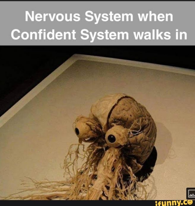 Nervous System when Confident System walks in - iFunny - Nervous System When Confident System Walks In