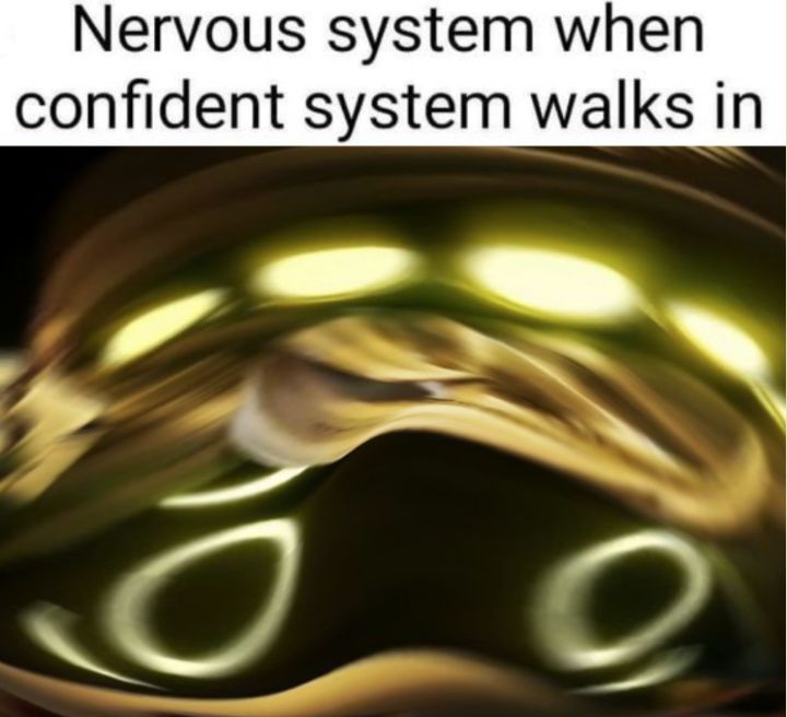 nervous system when confident system walks in in 2023 | Nervous system - Nervous System When Confident System Walks In
