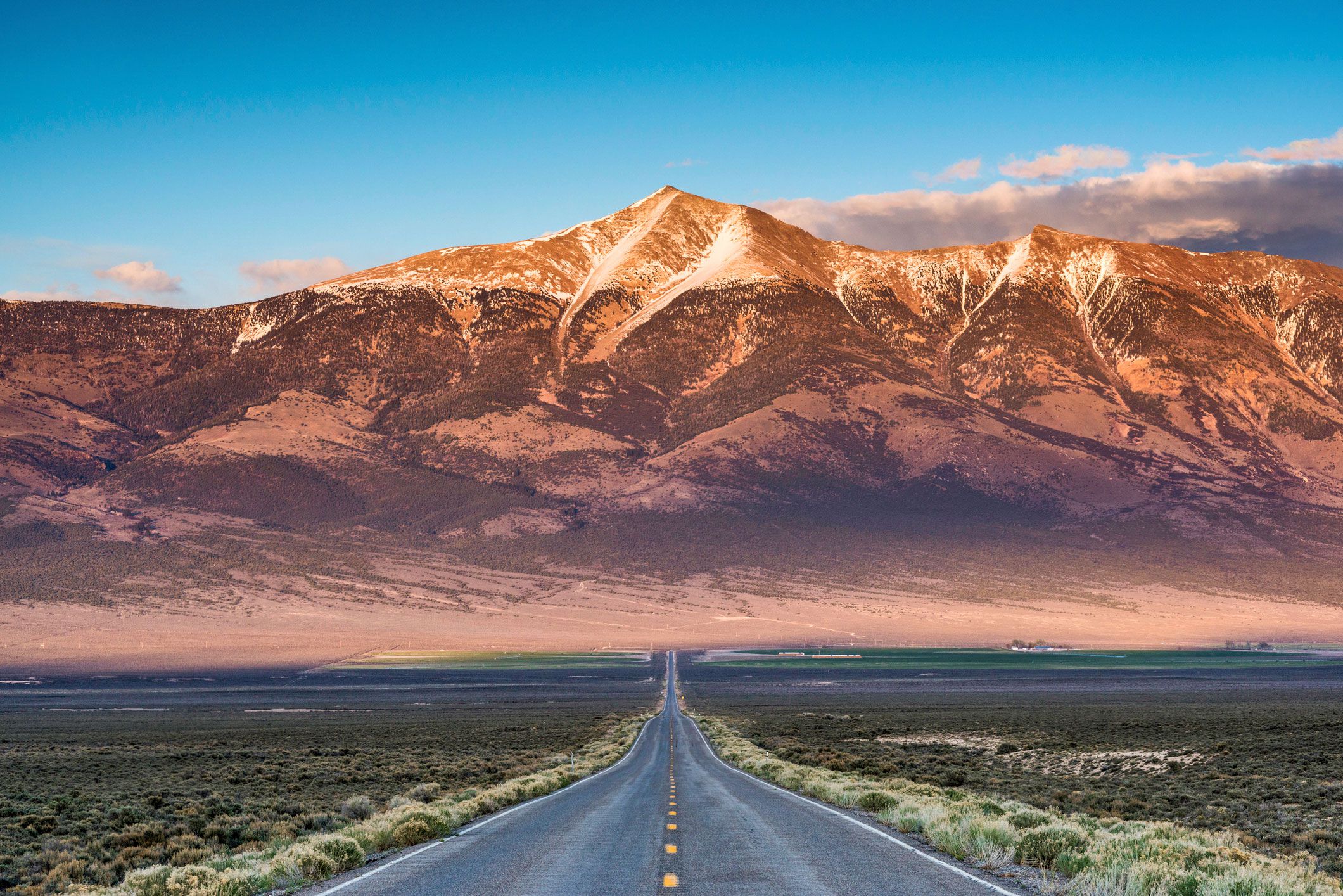 Nevada Coalition To End Domestic And Sexual Violence