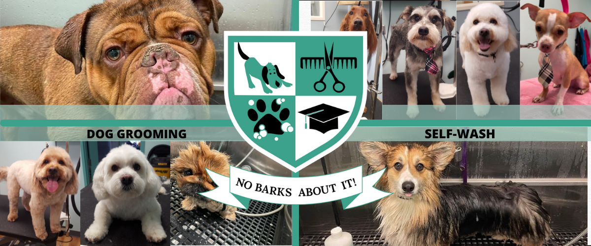 No Barks About It - Barks No More Reviews Consumer Reports Complaints