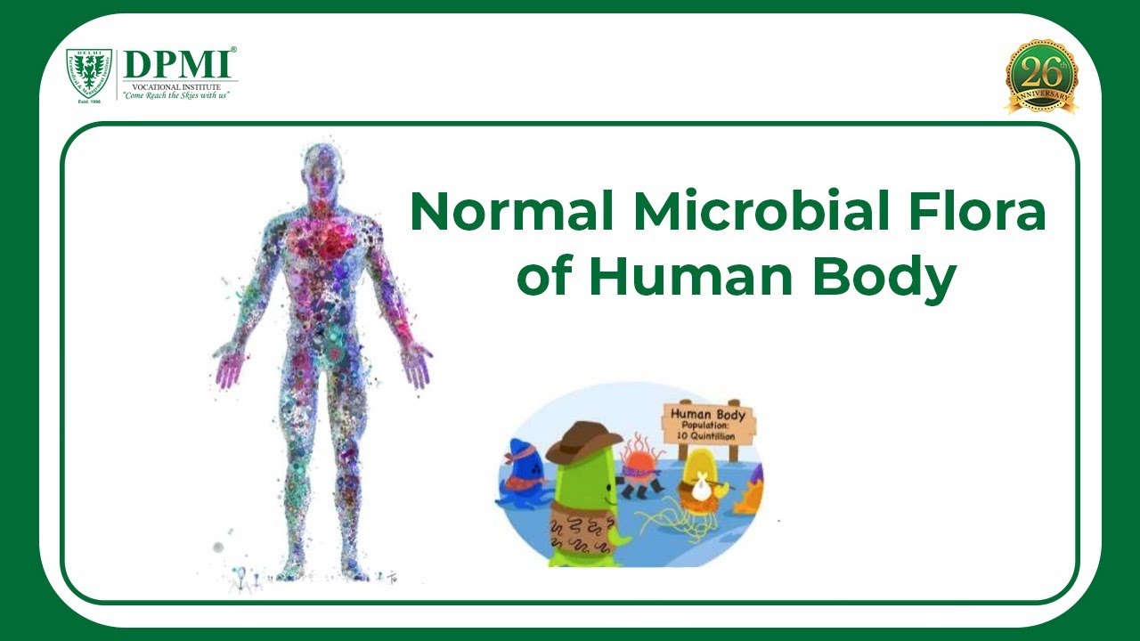 Normal Microbial Flora of Human Body: Types And Role Of Microbial Flora - Normal Microbial Flora Is Best Described As