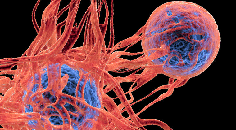 Novartis presented the promising efficacy and safety data of JDQ4... - Jdq443 Kras G12c Inhibitor Clinical Trial