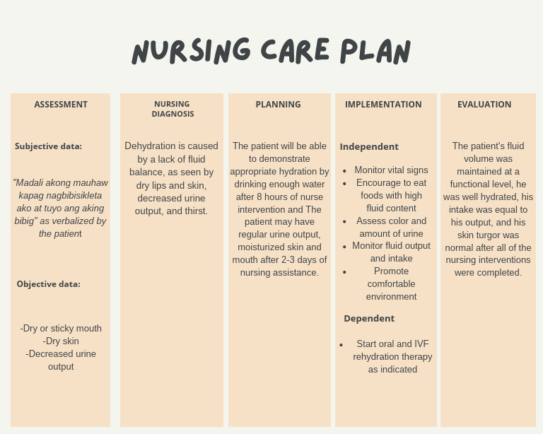 Nursing Care Plan | PDF - Nursing Care Plan For Impaired Skin Integrity