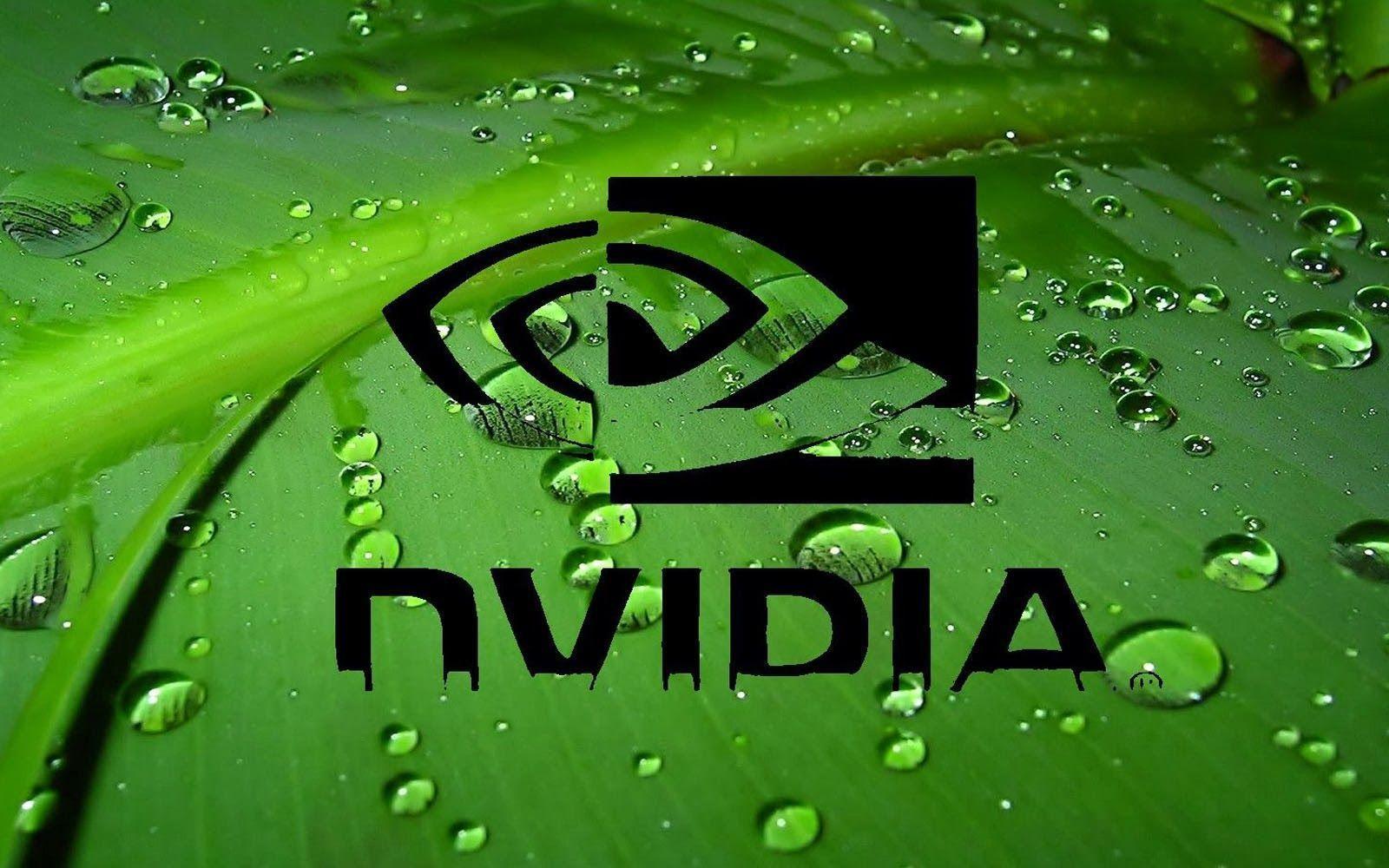 NVIDIA Utilizes Enterprise Level Generative AI Microservices - Nvidia Rtx 40-series Gpus Are On Sale For Black Friday