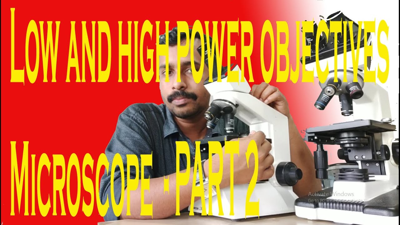 Magnification Of The Low Power Objective Lens Is Usually
