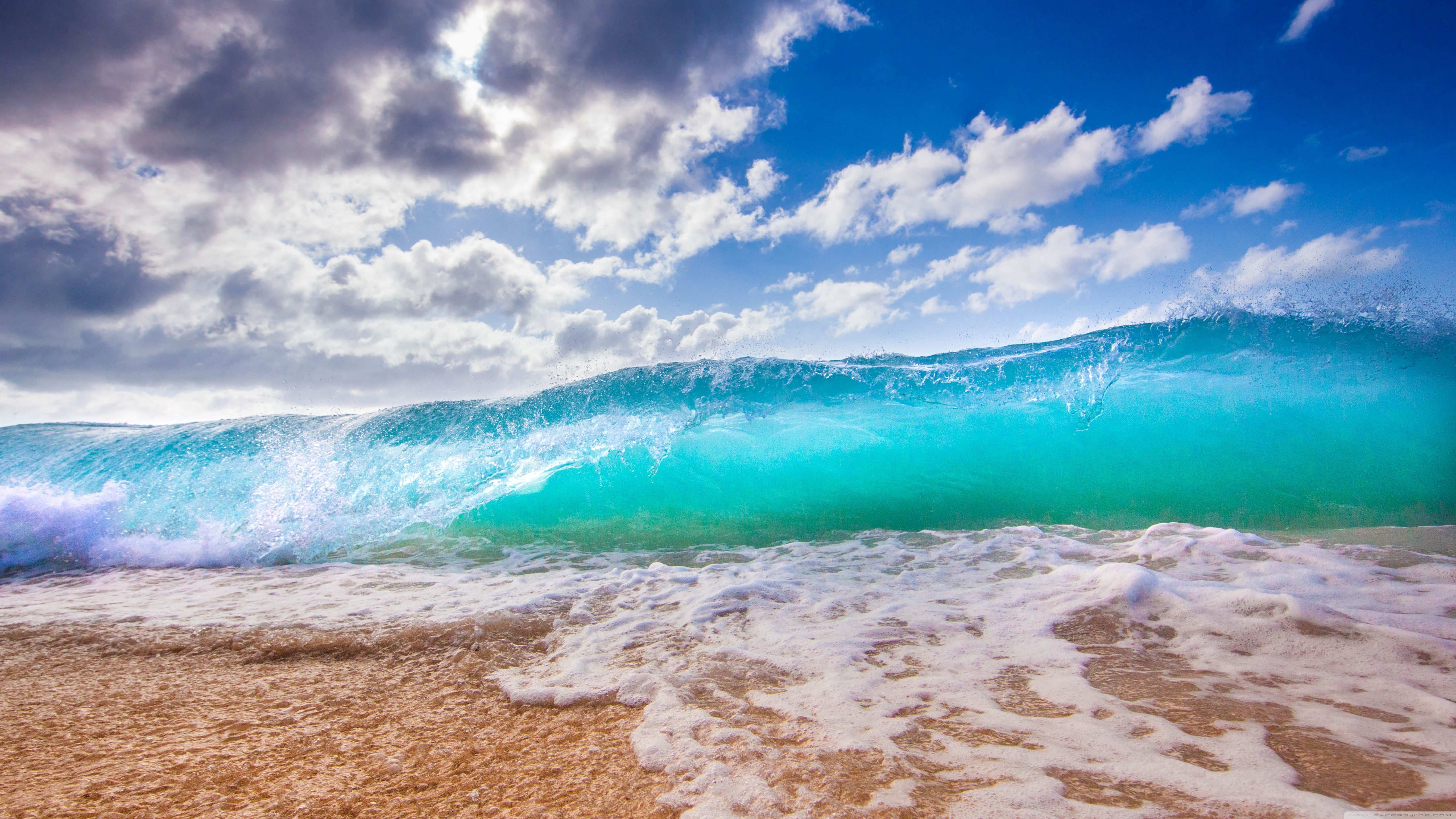 Ocean Desktop Wallpapers on WallpaperDog - Ocean Made Biodegradable Gardening Pots Market Research