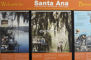 On The Wing - Santa Clara County Federal Credit Union San Jose