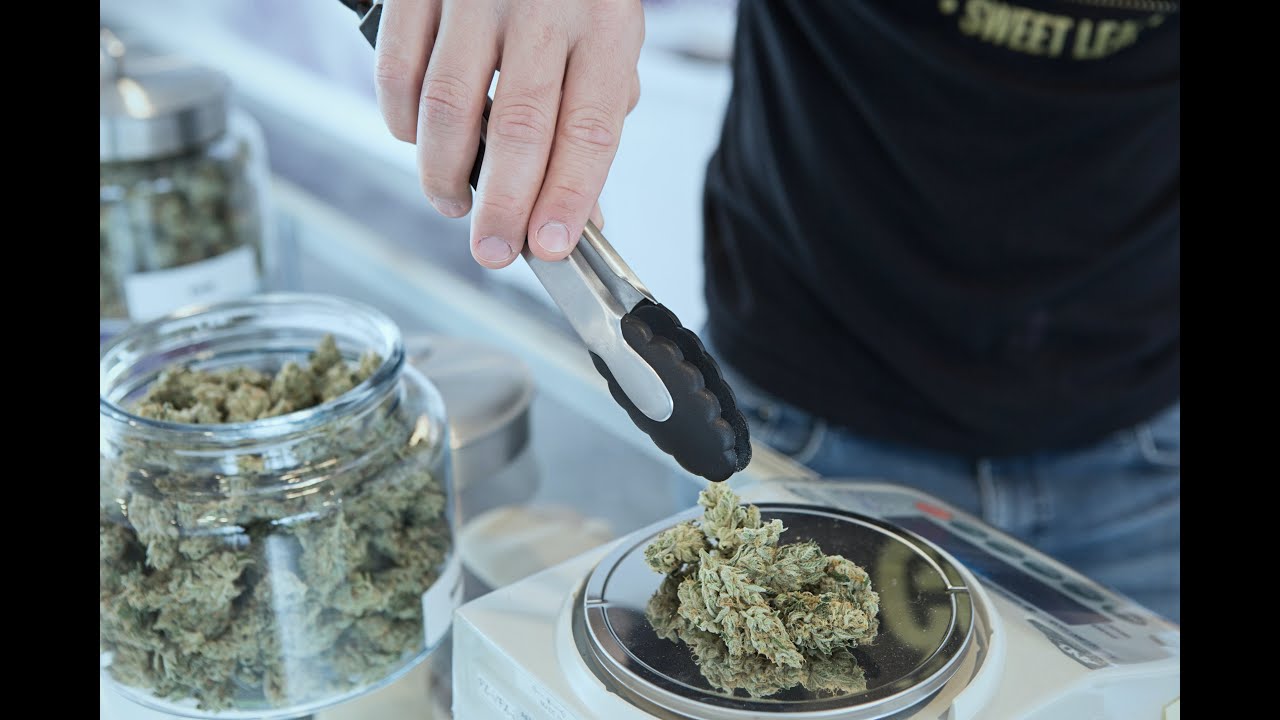 One Hit A Weed by Tyler Selph, all rights reserved. Hear over 100 of my - How Much Mg Of Weed Is In One Hit