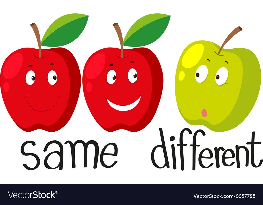 Opposite adjectives with same and different vector image on vectorstock - Same Day Loan No Credit Check Guaranteed Approval