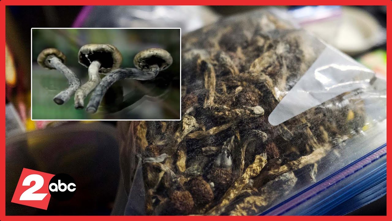 Oregon begins providing first legal psilocybin therapy in the U.S - Several Oregon Cities Ban Psilocybin Despite Prior Statewide Legalization