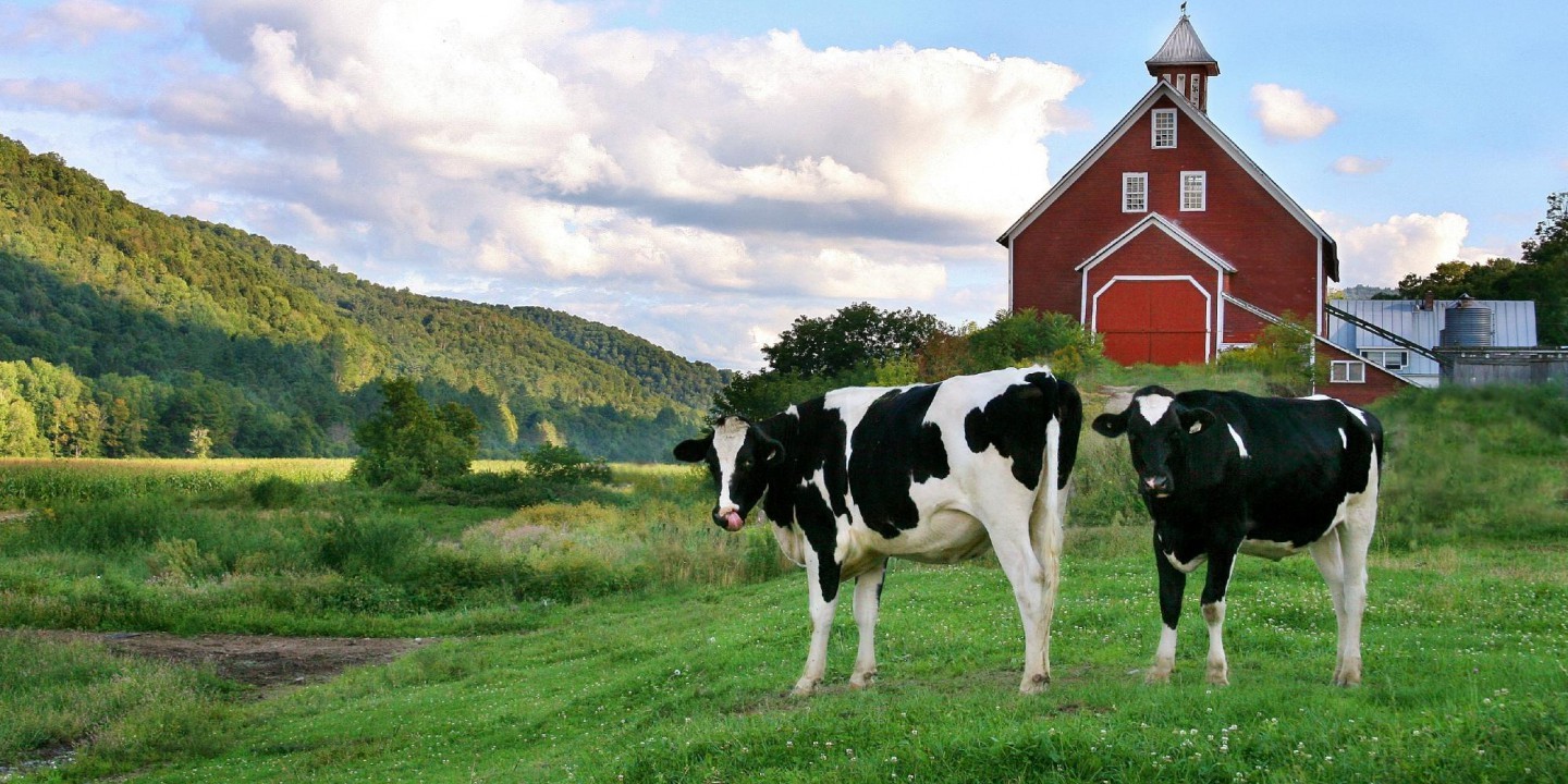 Farm And Fleet Black Friday Deals