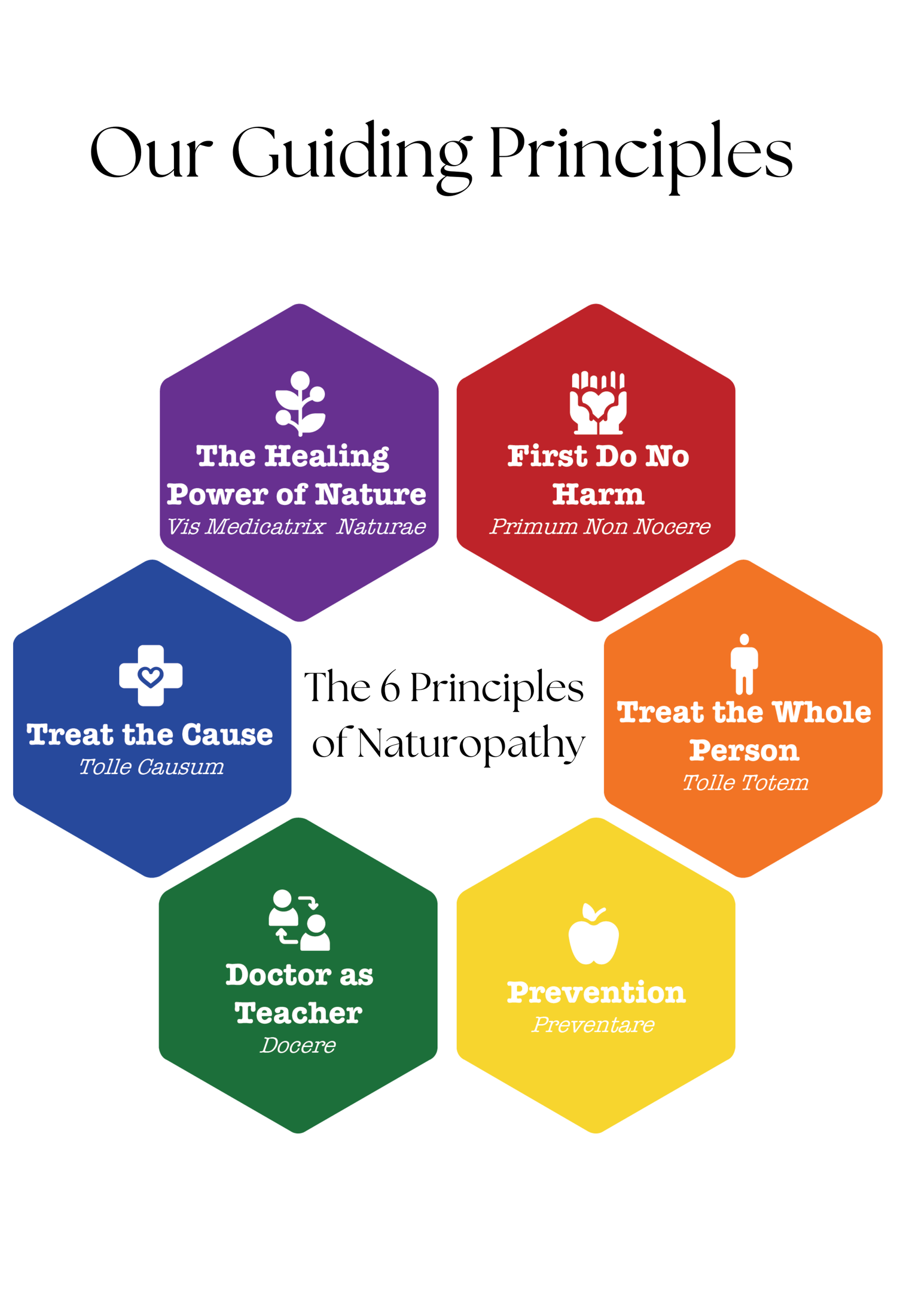 Principles And Labs For Fitness And Wellness