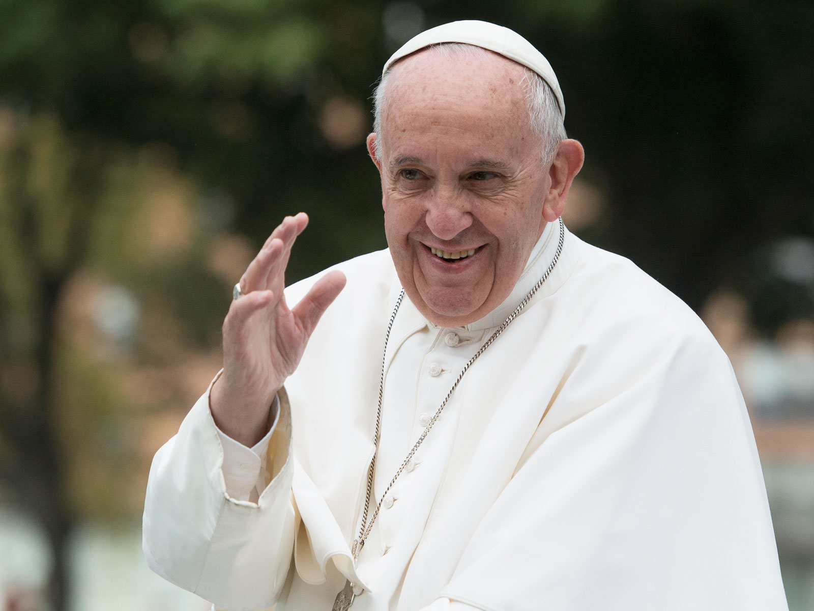 Papa Francisco: 50 anos de sacerdócio dedicados ao povo e à Igreja - Papa Murphy's Xlny Vs Family Size
