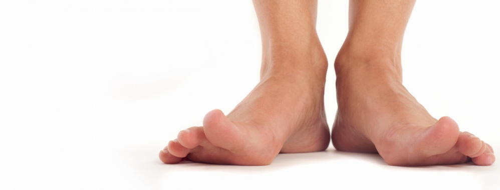 Parts of the Foot - Back to Health Wellness Centre - Foot And Ankle Associates Of Lancaster Pa
