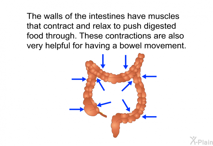 PatEdu.com : Bowel Movement - Pressure Points To Stimulate Bowel Movement