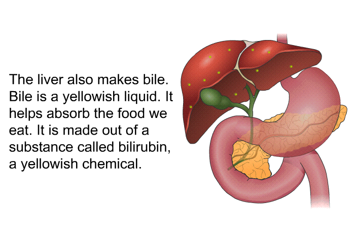 PatEdu.com : Liver Diseases - Substance Created By Mold That Damages The Liver