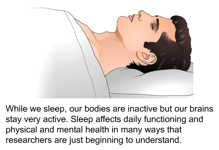 During Sleep The Body Provides Fuel To The Brain