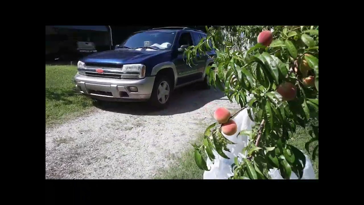 Peaches - Moving to the Country - YouTube - Moving To The Country Eat A Lot Of Peaches