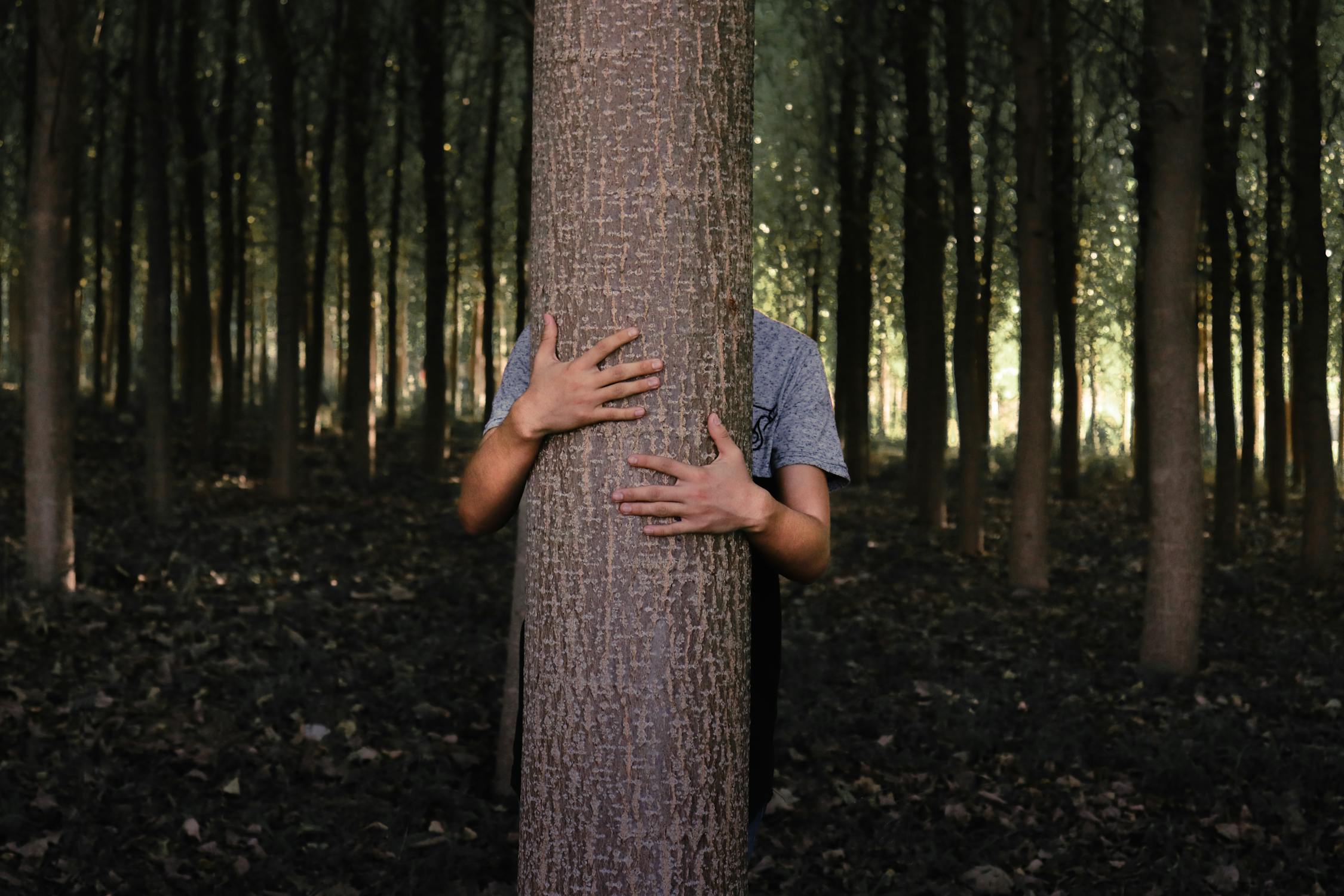 Does Hiding Your Story Hide Your Highlights