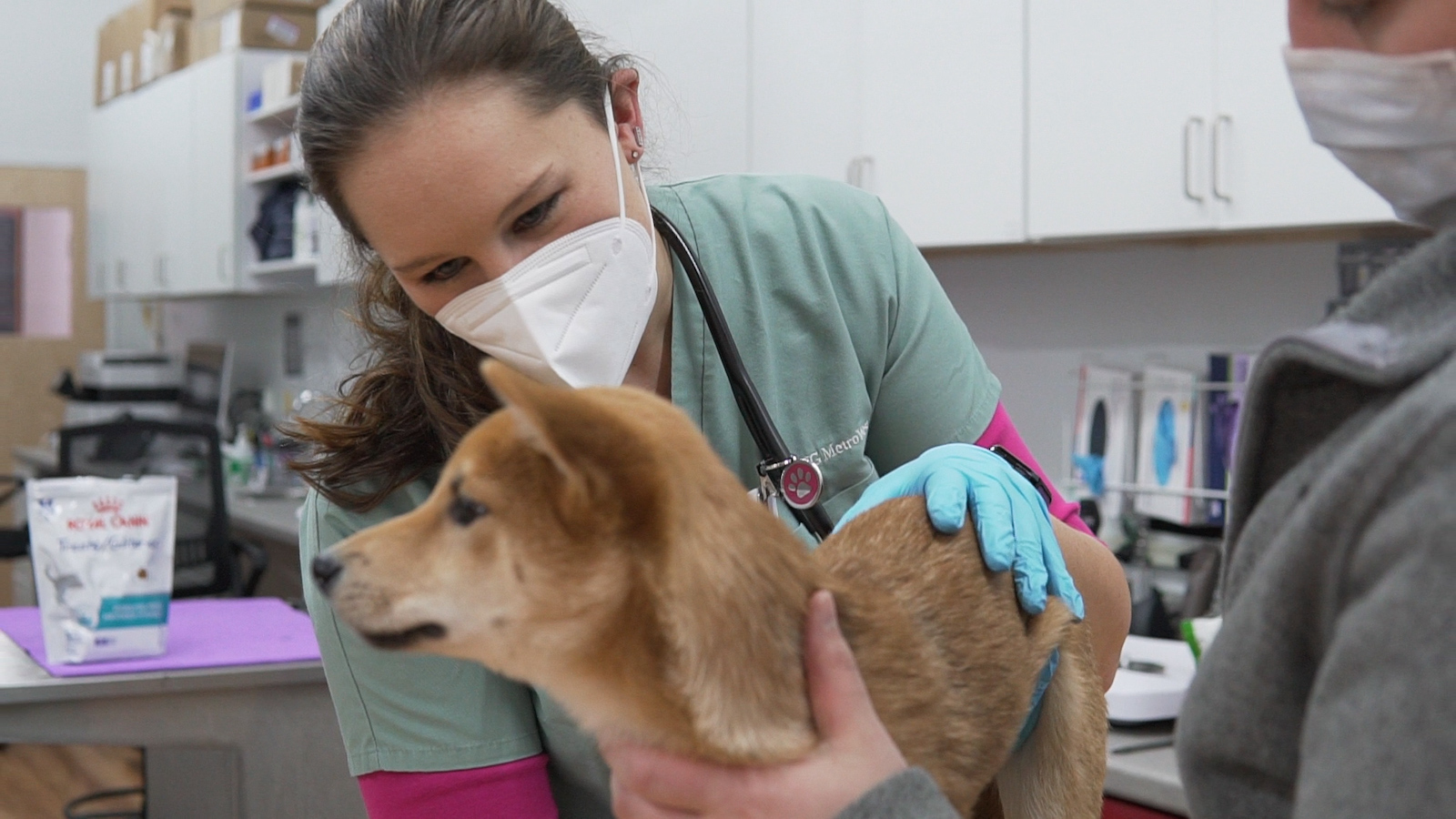 Petmedic Urgent Care Vet Clinic Westborough Reviews