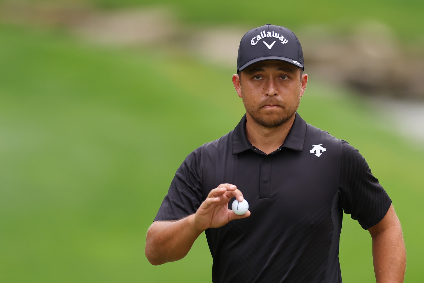 Pga Works Collegiate Championship 2024 Leaderboard