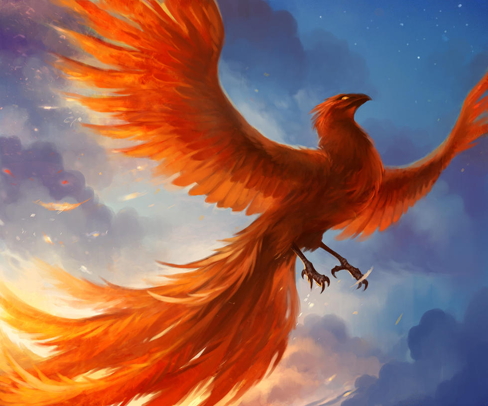 phoenix by sandara on DeviantArt - Phoenix Capital Group Holdings Llc Complaints