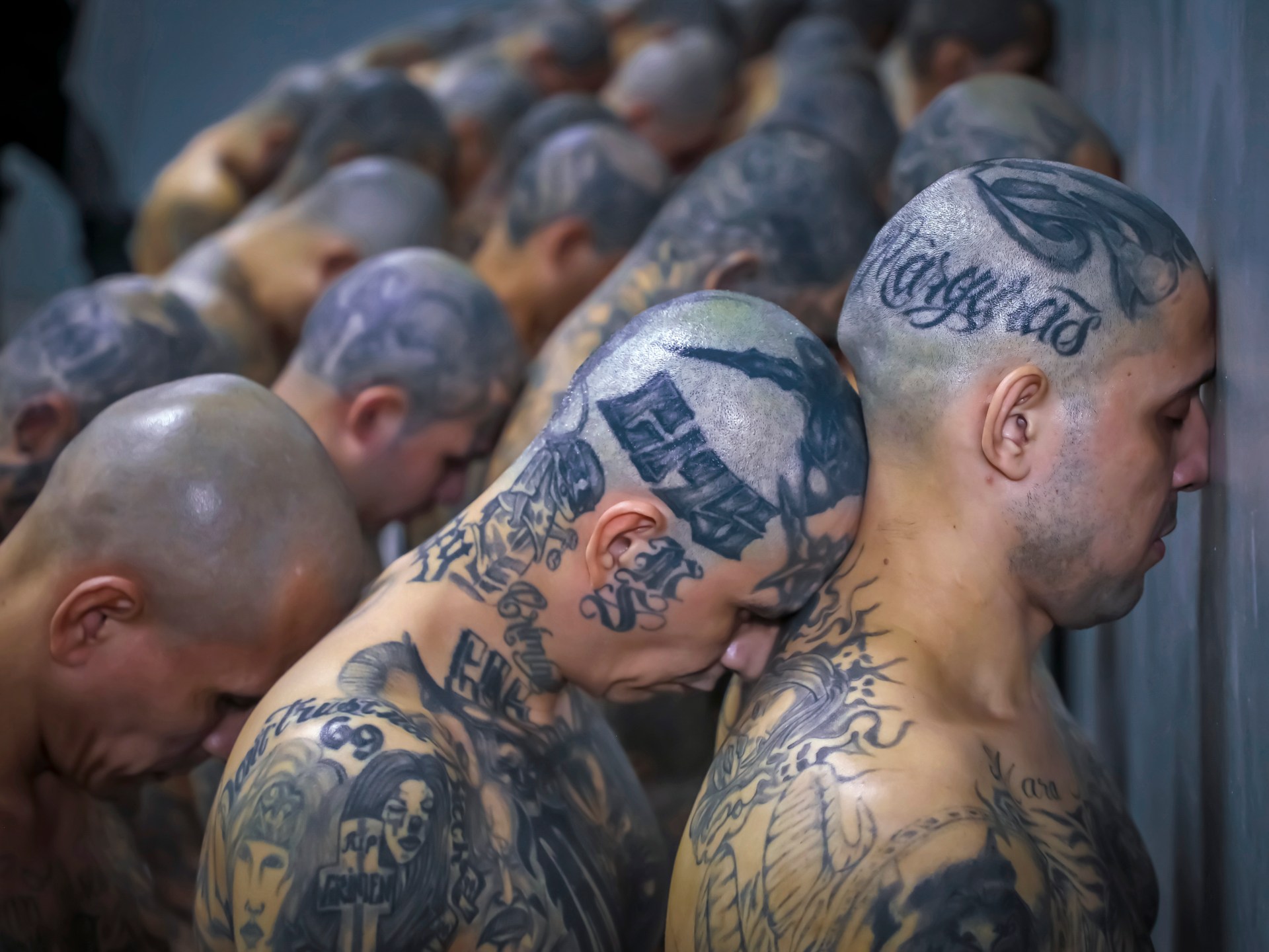 Photos: Inside El Salvador’s new ‘mega prison’ for gang members - El Pollo Loco Chicken Avocado Stuffed Quesadilla