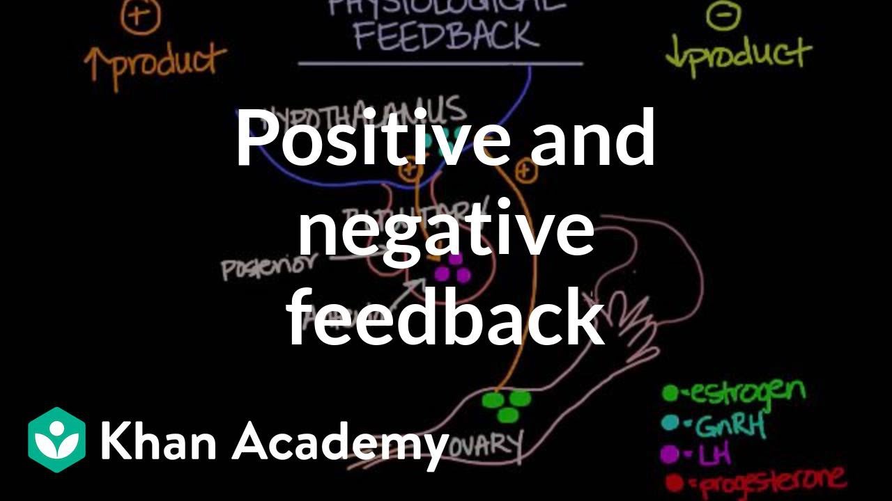 Positive Feedback Differs From Negative Feedback In That