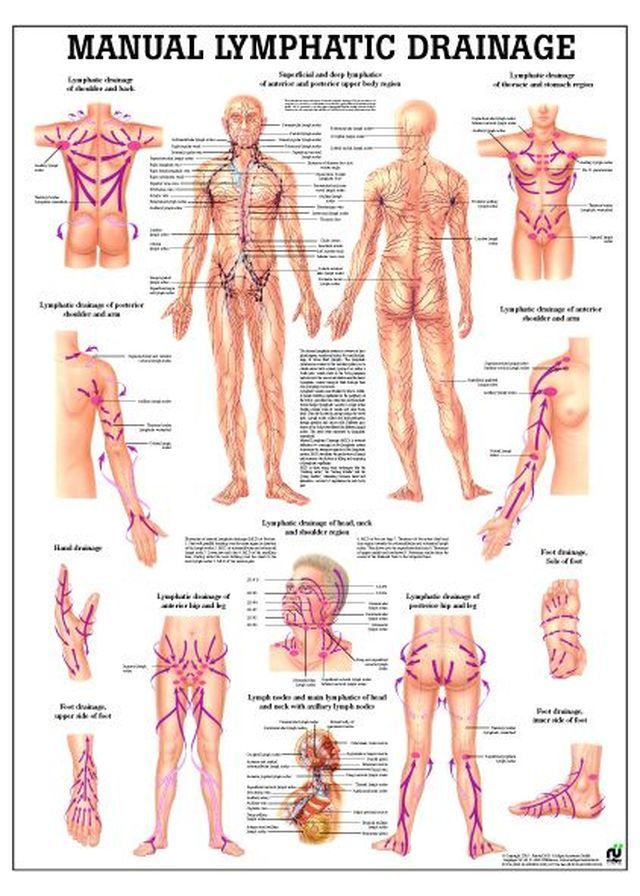Lymphatic Drainage Massage Therapist Near Me