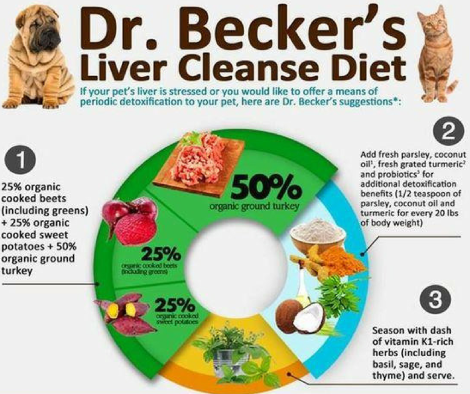 Pin on Pup it up. - My Dogs Liver Enzymes Are High