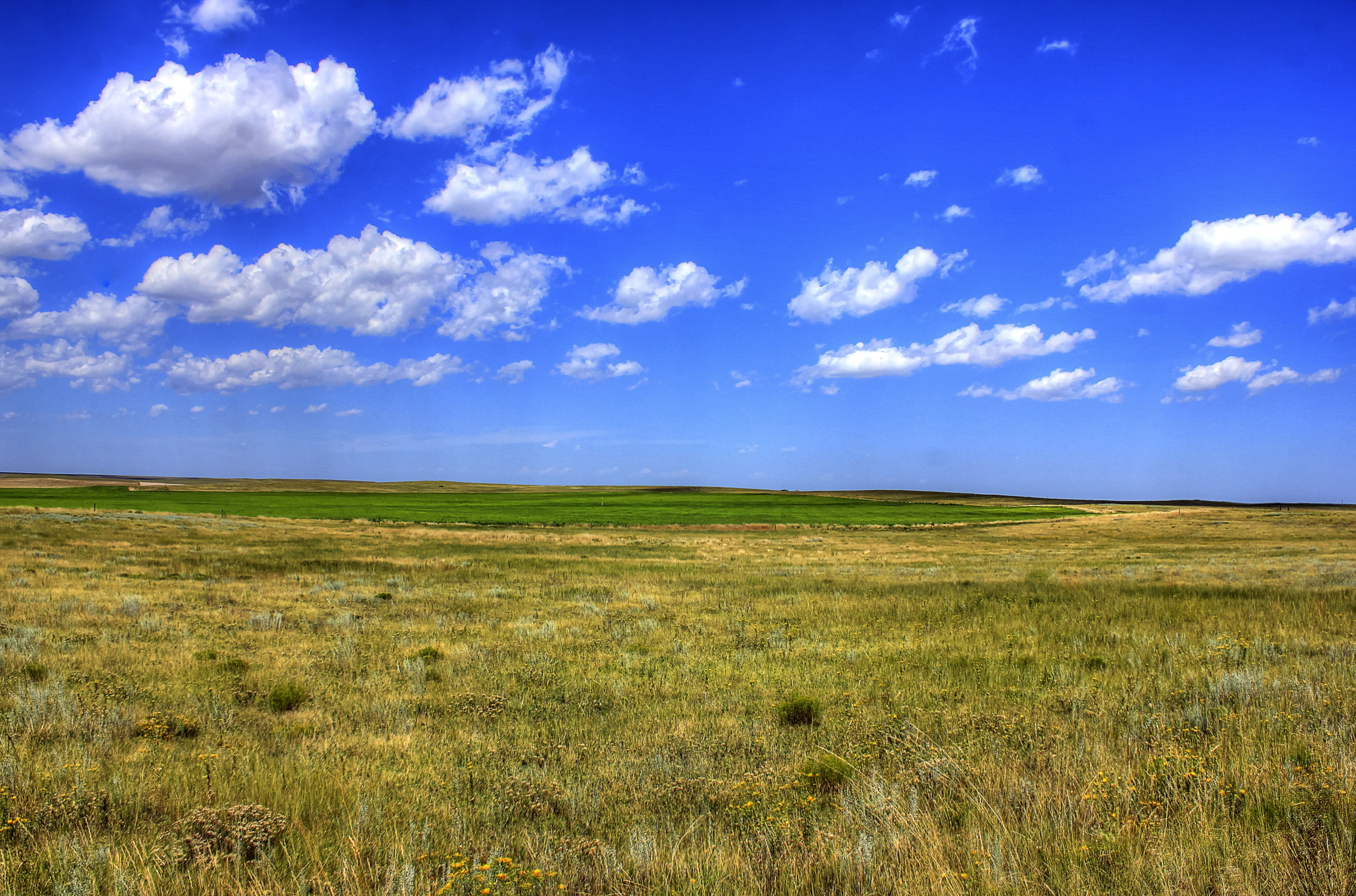 Plains All American Pipeline Investor Relations