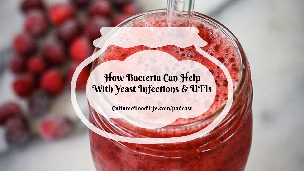 Does Bacillus Coagulans Help With Yeast Infections