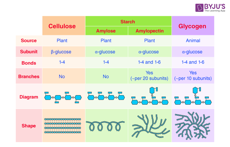 Polysaccharides-Characterstics. Types, and Functions - Select All Of The Following That Are Polysaccharides.