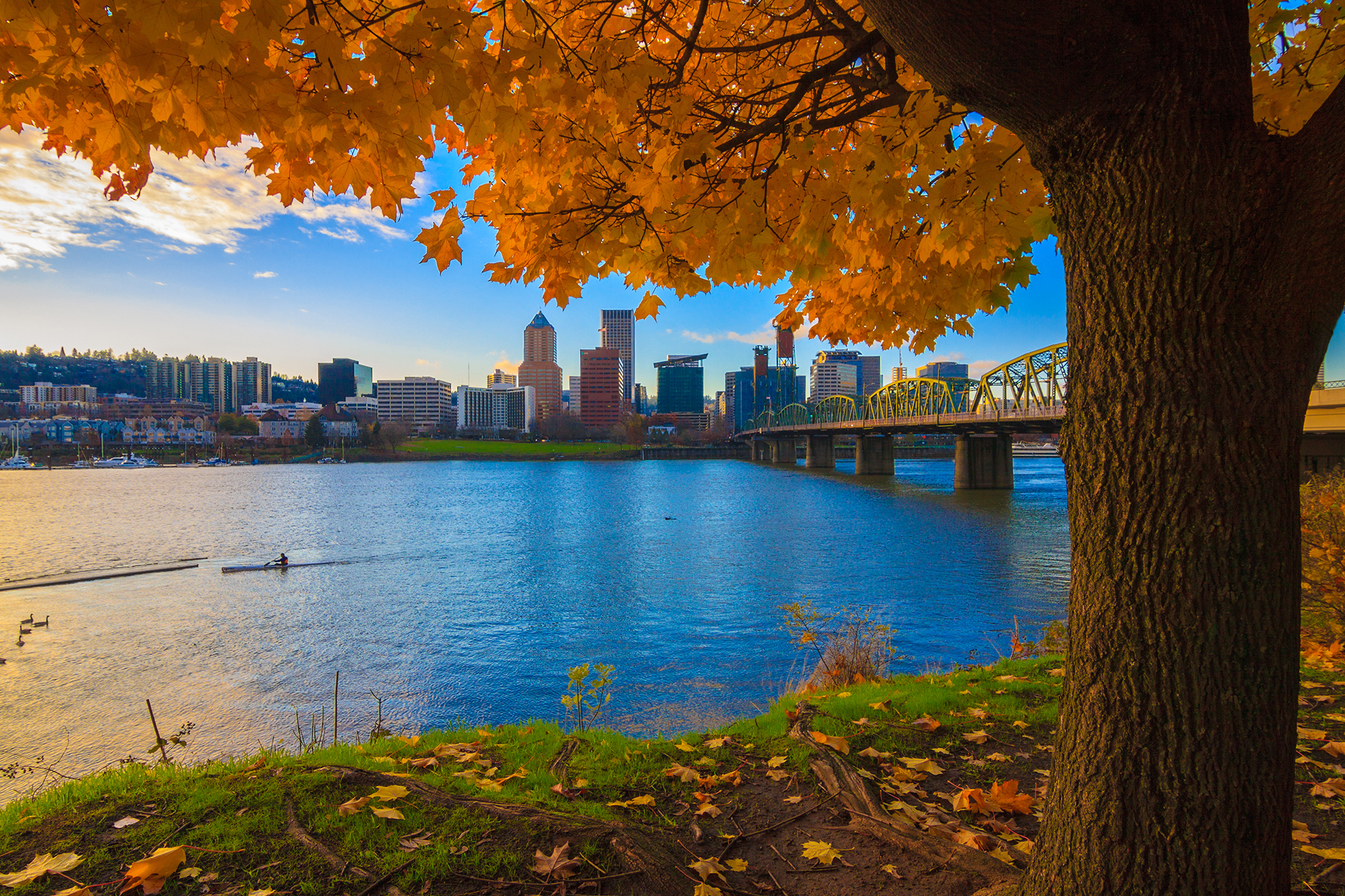 Portland, Oregon 2022 | Ultimate Guide To Where To Go, Eat & Sleep in - Portland General Pano Ai Cameras In Fire Areas