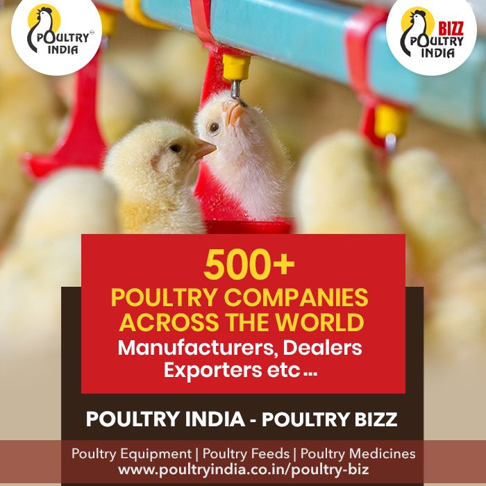 Top 25 Poultry Companies In Usa