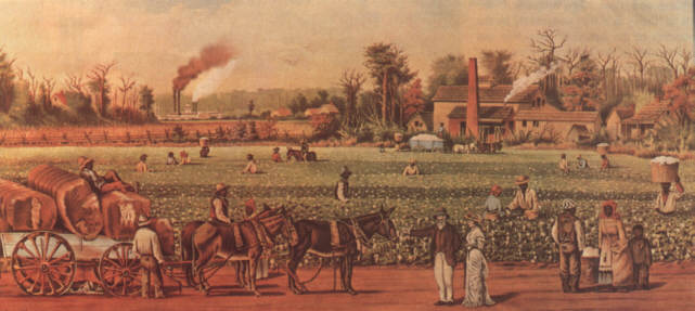 PowerPoints - US History - Identify The Statements That Describe The Old South