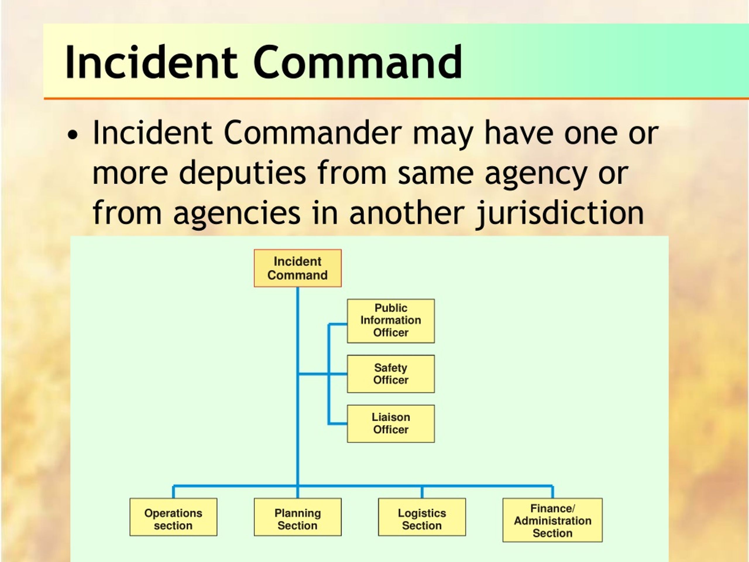 Selection Of The Incident Commanders Is Done By The
