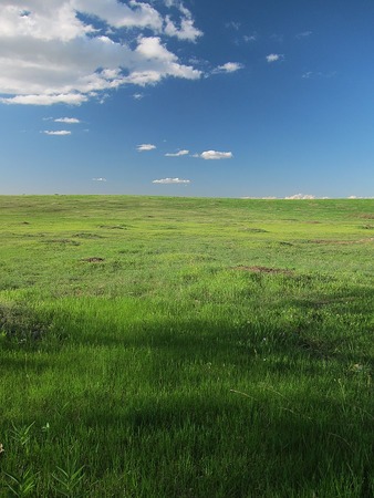 Prairie Grassland - Prairie Operating Company Stock Buy Or Sell