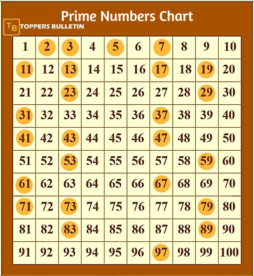 Is 81 A Prime Number Or A Composite Number