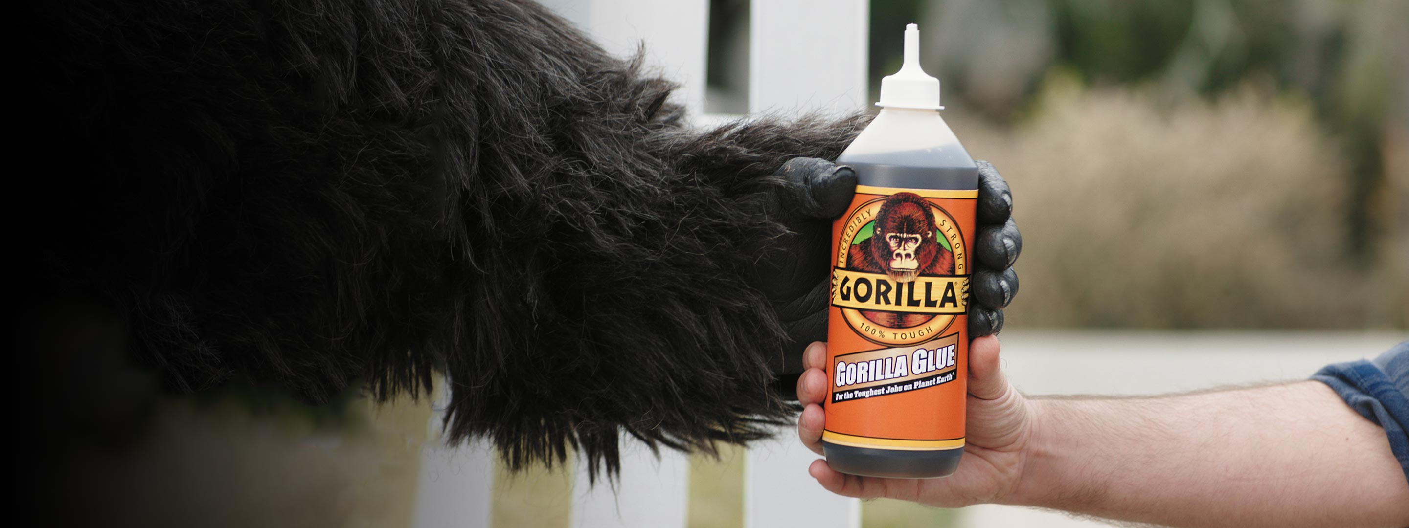 Product Comparison Guide | Gorilla Glue - How Much Is Gorilla Glue Worth