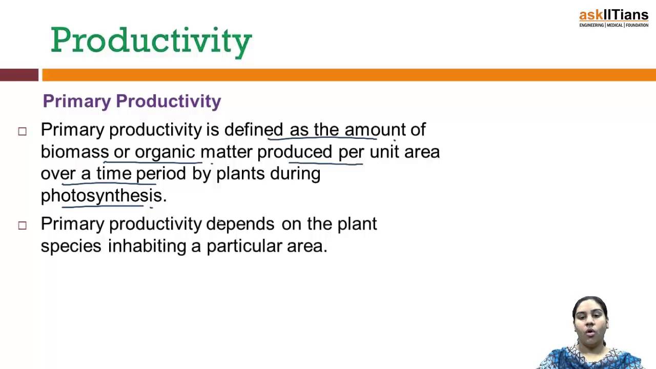 Productivity and Ecological Efficiency | Biology | Class 12 | AIPMT - Biological Productivity Includes Which Of The Following