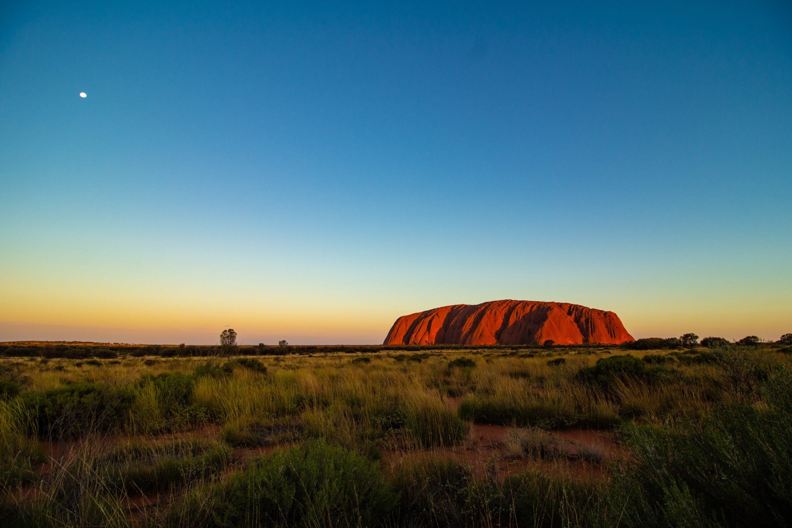Pros And Cons Of Living In Australia vs us - Anna Sherchand - Living In Australia Pros And Cons