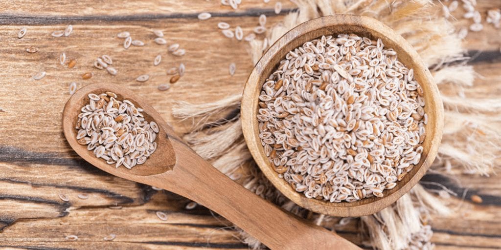 Psyllium: O Que É, Para Que Serve, E Como Usar Corretamente - Psyllium Husk Powder Where To Buy