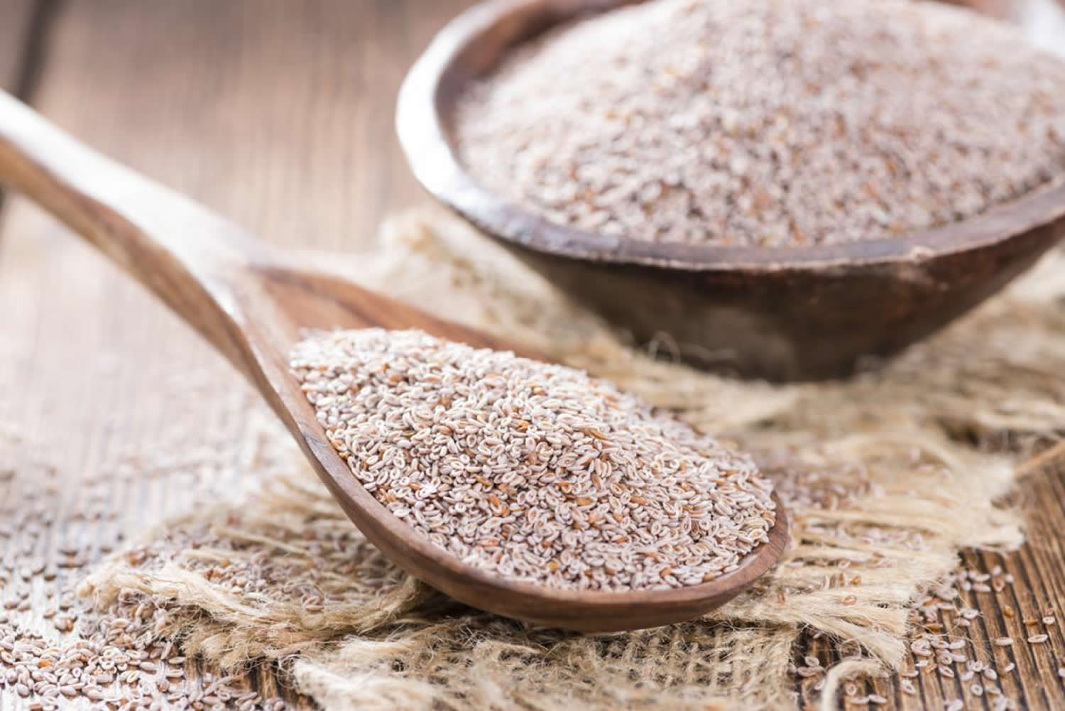 Psyllium Husk Powder Where To Buy